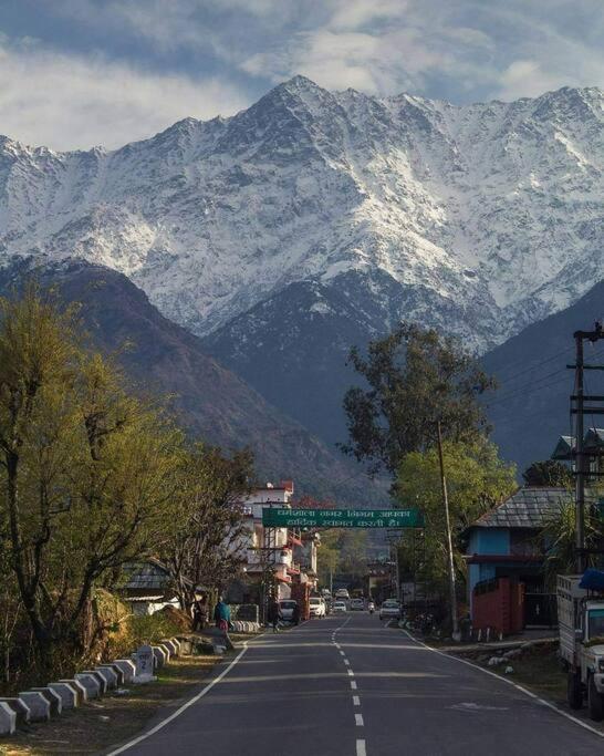 Aroma Taru Villa / Cottage ,Manali Exteriör bild