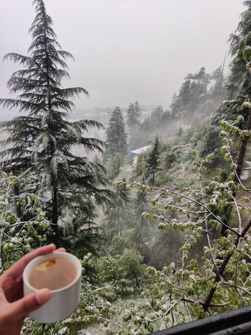 Aroma Taru Villa / Cottage ,Manali Exteriör bild