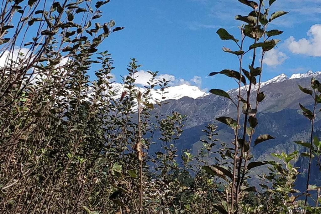 Aroma Taru Villa / Cottage ,Manali Exteriör bild