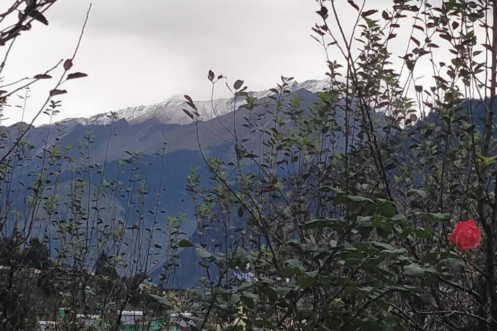 Aroma Taru Villa / Cottage ,Manali Exteriör bild
